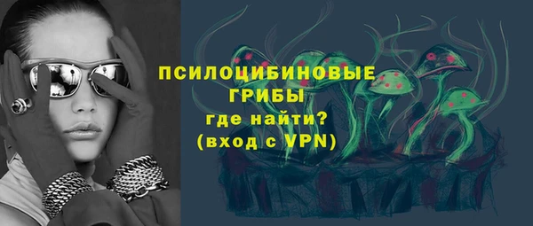 гашик Лиски