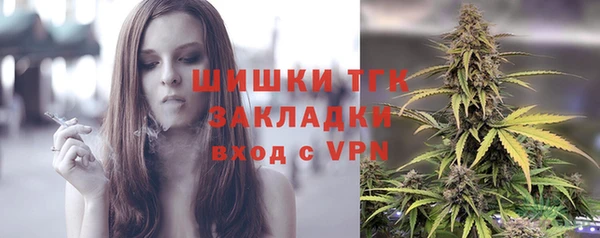 ПСИЛОЦИБИНОВЫЕ ГРИБЫ Лихославль