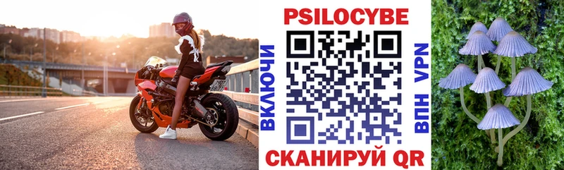 Псилоцибиновые грибы мухоморы Дудинка